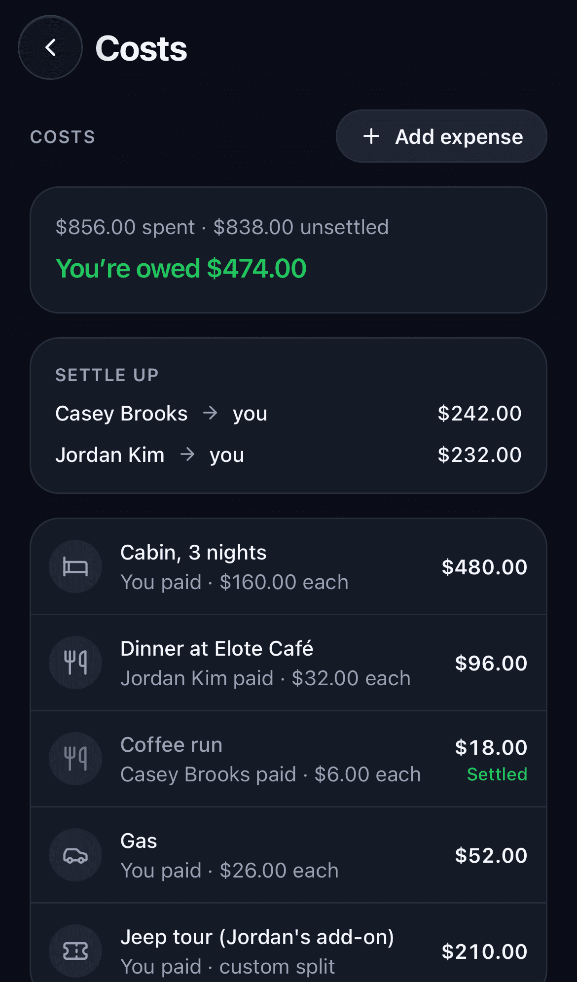 A trip expense ledger showing balances and who owes whom